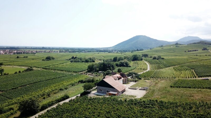Vue vallée - Le Taennel